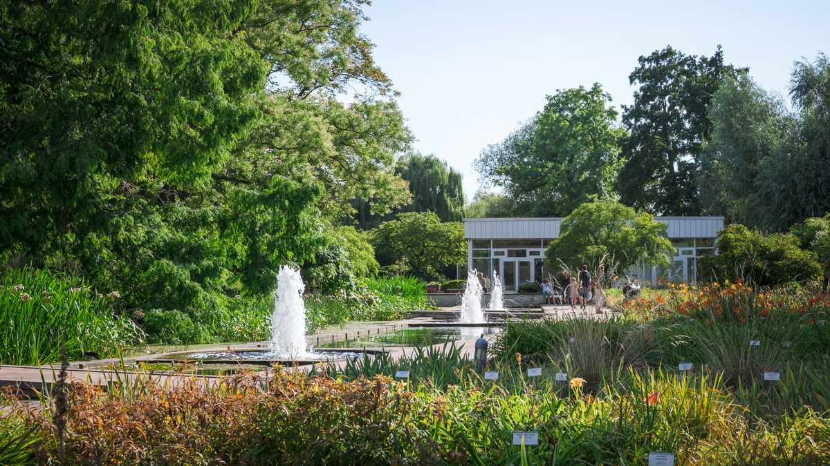 Ausstellung: Gartenschönheit in Vasen